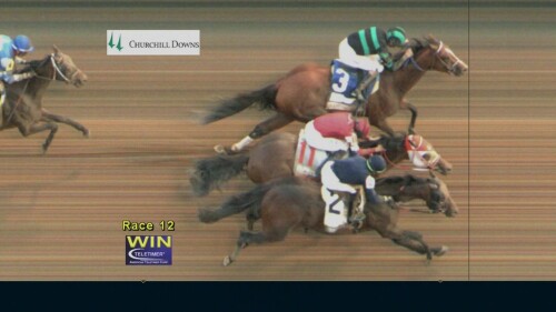 运动会策划与执行